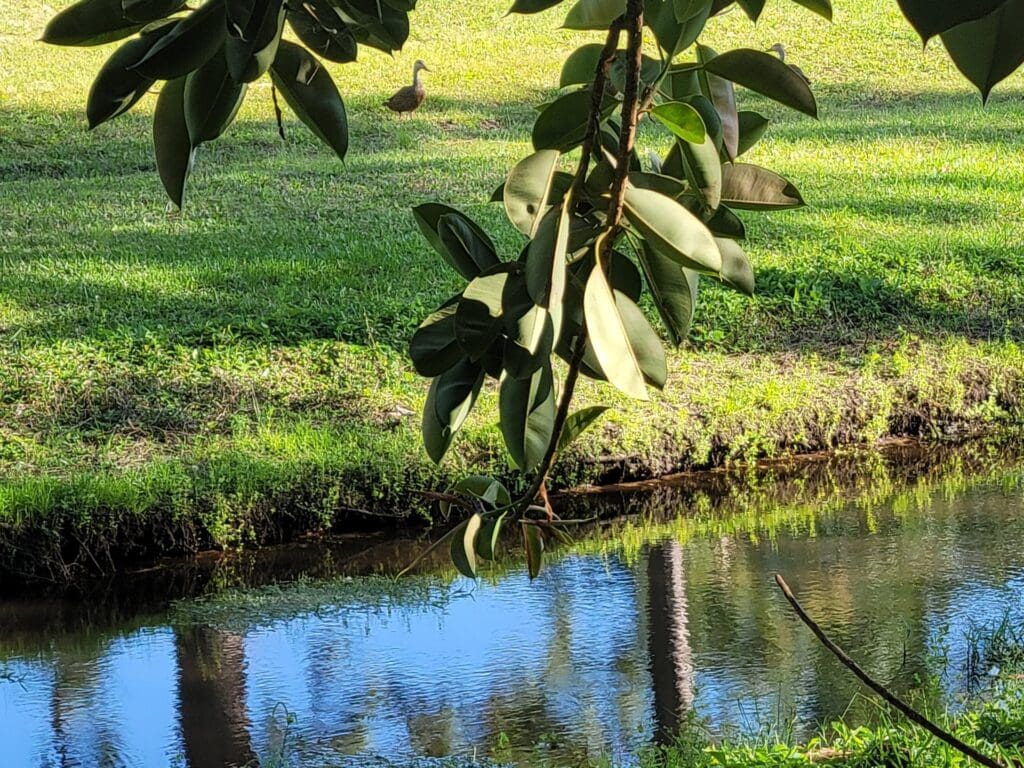 Sandpiper Bay Port St Lucie Home For Sale Over Half Acre